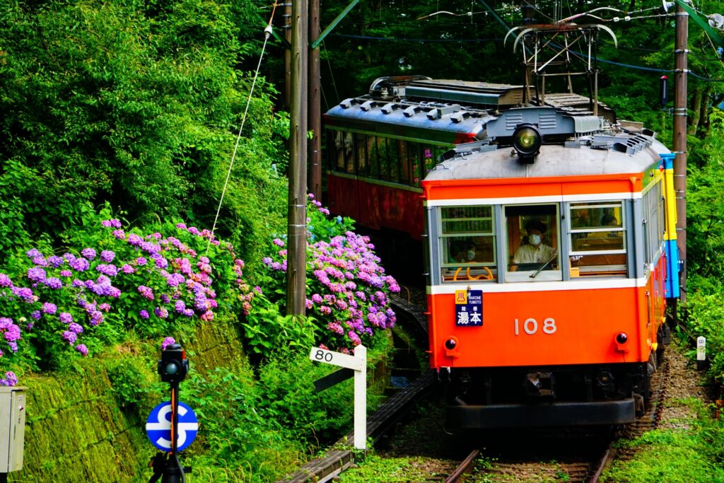 あじさいと箱根登山鉄道