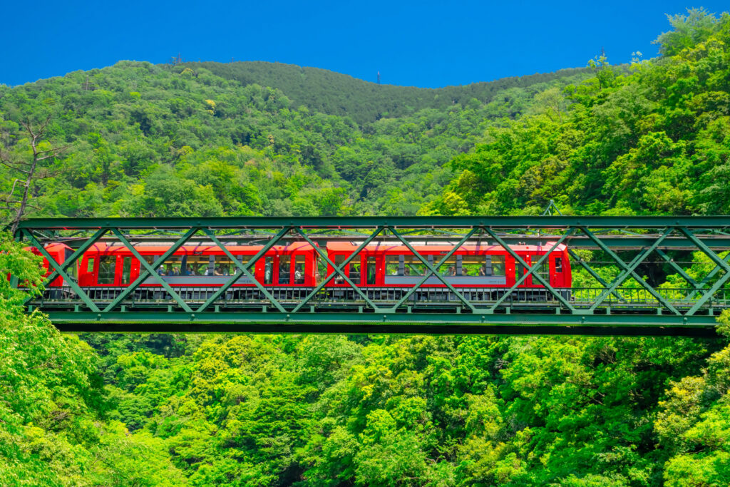 新緑の早川橋梁を渡る箱根登山鉄道