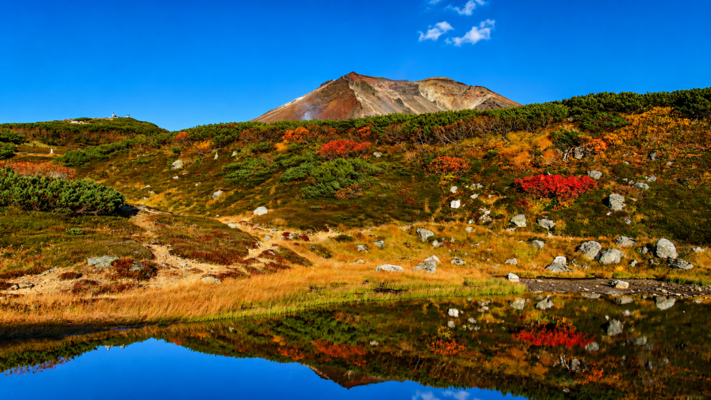 紅葉した姿見エリアと旭岳