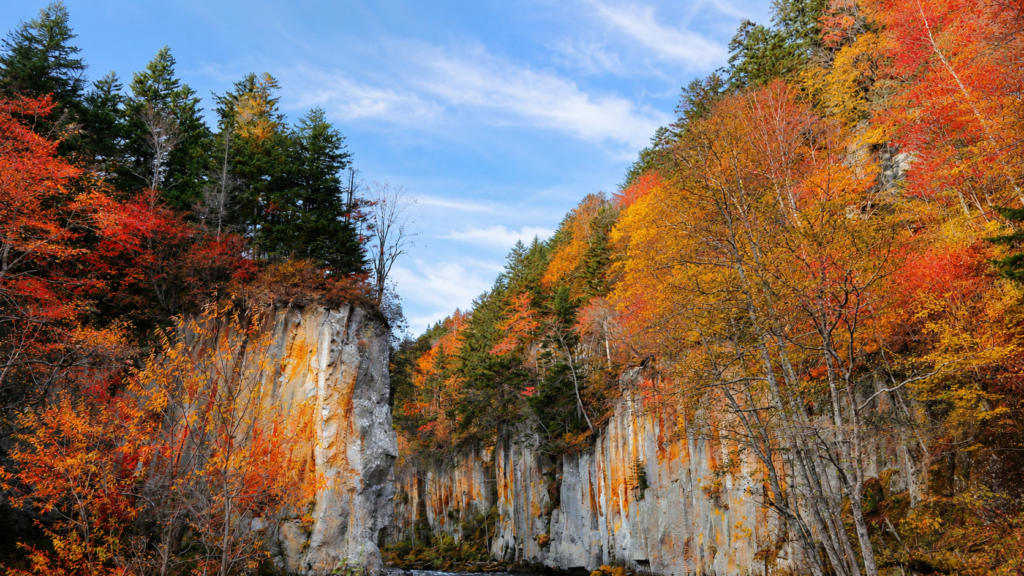 紅葉した層雲峡大函の柱状節理