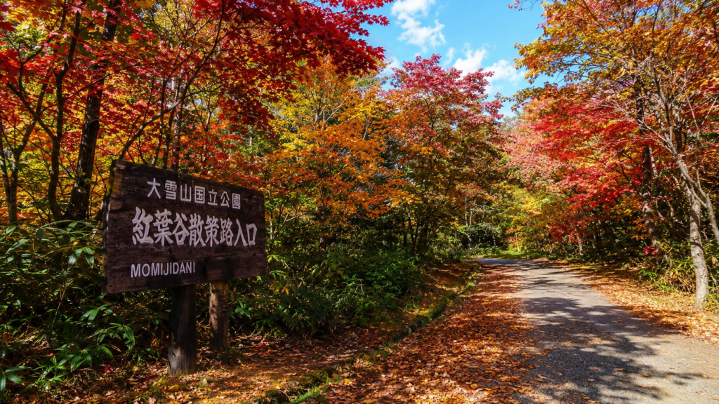 層雲峡紅葉谷の散策路と色づいた木々