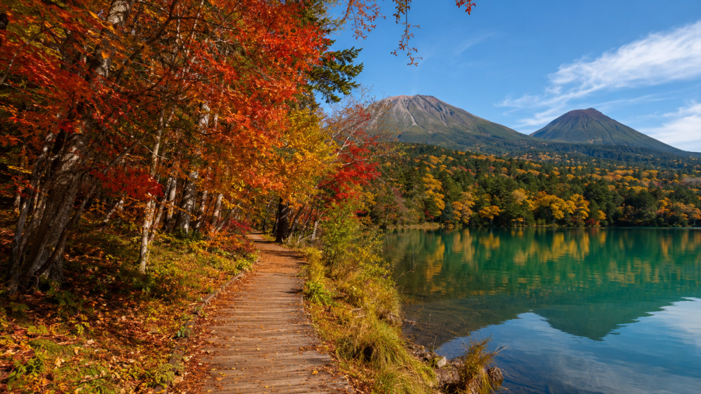 紅葉に包まれたオントネー湖畔の散策路