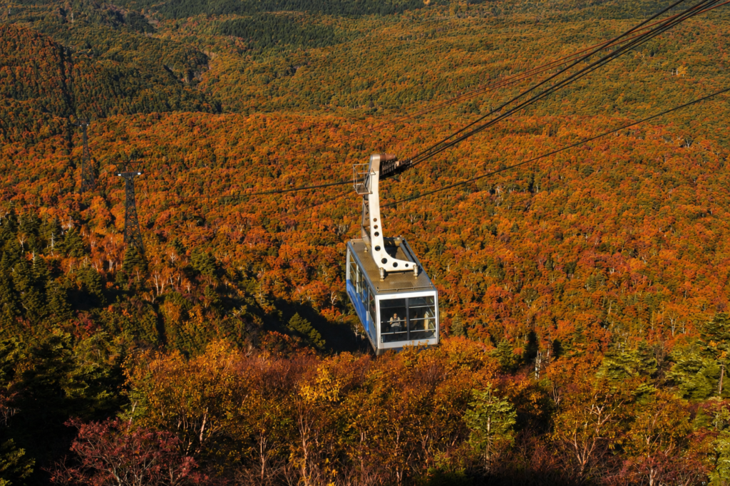 八甲田山の紅葉を見下ろすロープウェーのゴンドラ