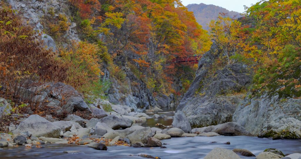 かっぱ渕からみる二見吊橋と紅葉