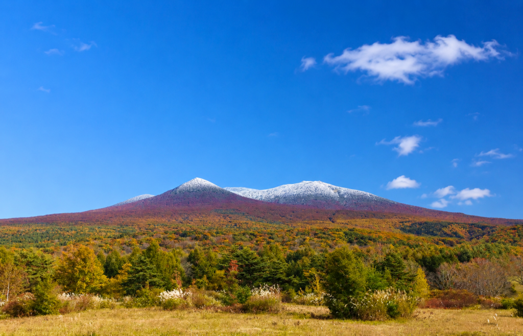 赤や黄色に色づいた八甲田山の山肌