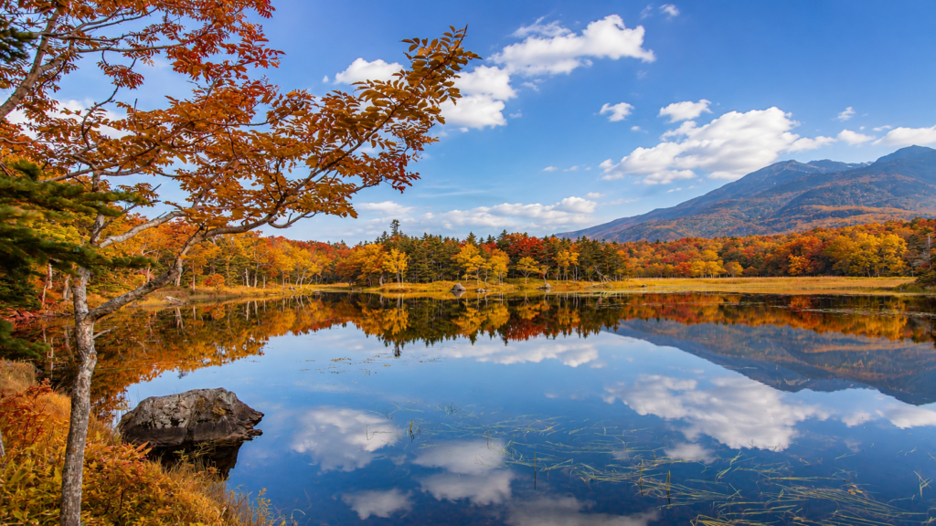 知床五湖、紅葉の原生林が湖面に映る