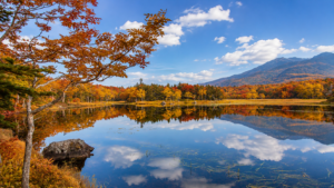知床五湖、紅葉の原生林が湖面に映る