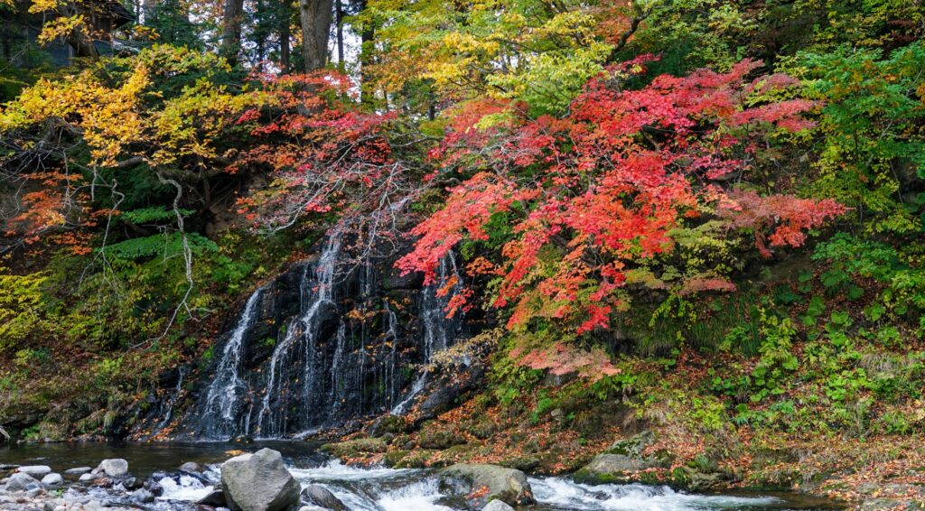 紅葉と赤い橋に囲まれた中野もみじ山の不動の滝