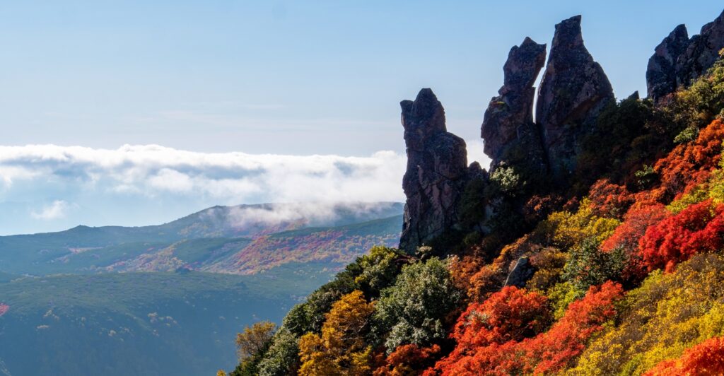 赤や黄色に色づいた黒岳の山肌