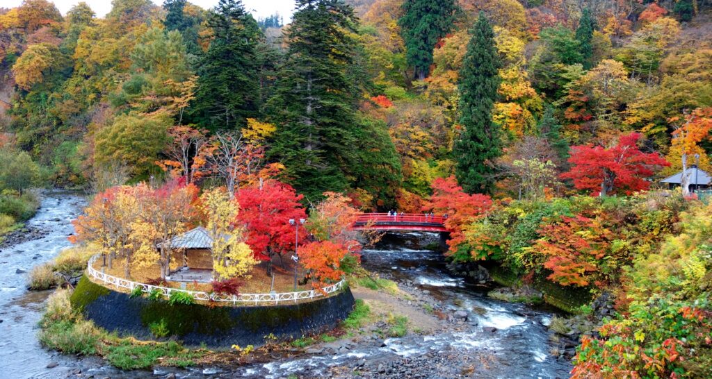 赤や黄色の紅葉に包まれた中野もみじ山