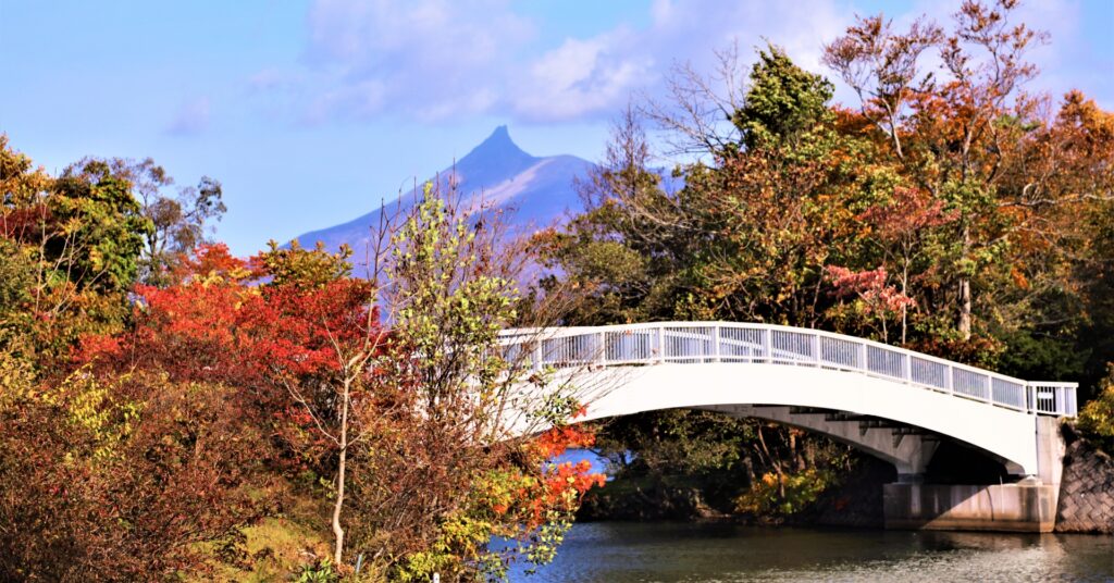 紅葉した大沼の島を結ぶ散策路の橋