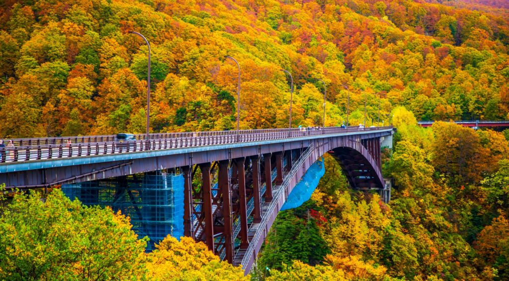 紅葉した城ヶ倉渓流に架かる城ヶ倉大橋
