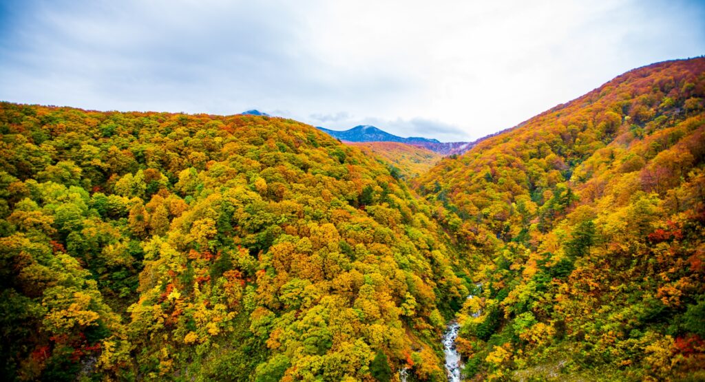 城ヶ倉大橋から望む秋の八甲田連峰