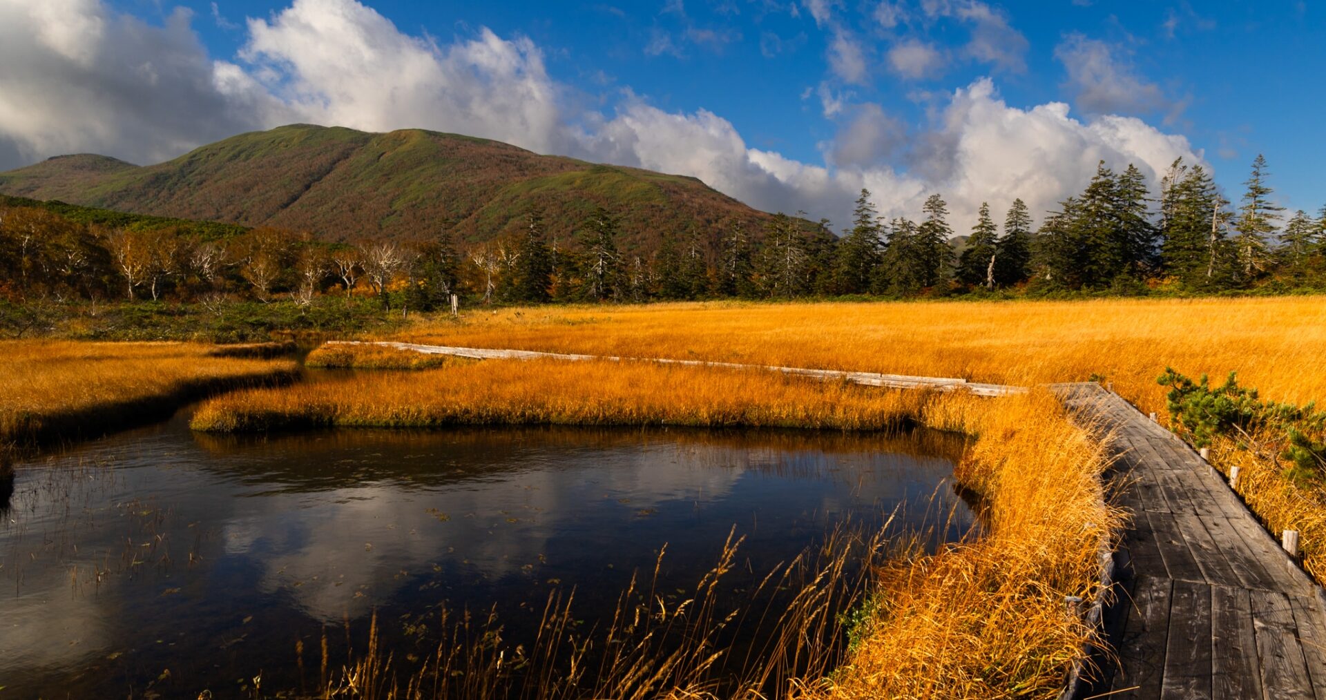 神仙沼湿原に広がる草紅葉