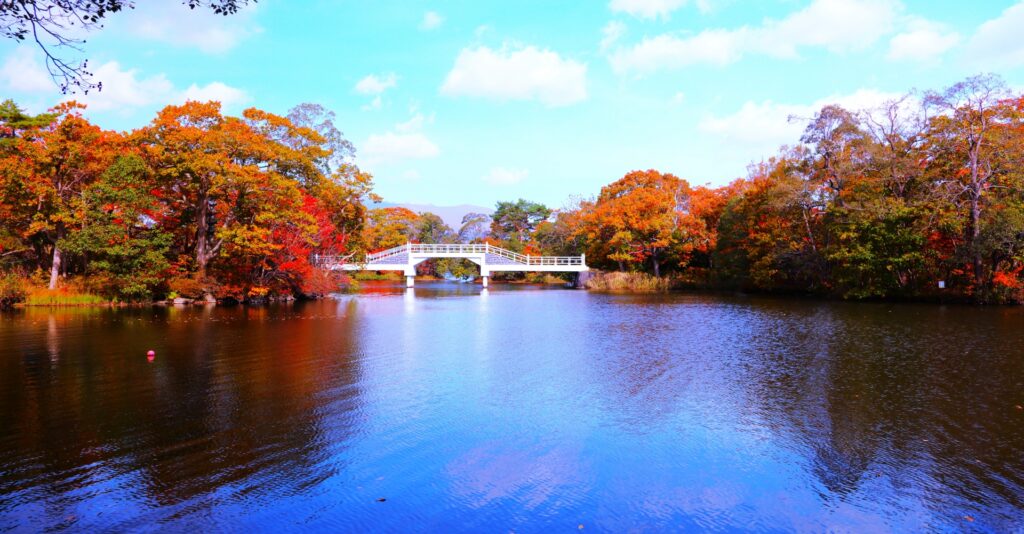赤や黄色に色づく大沼湖畔の木々