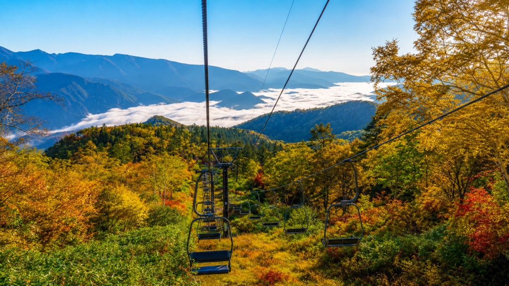 紅葉した黒岳を上る夏山リフト