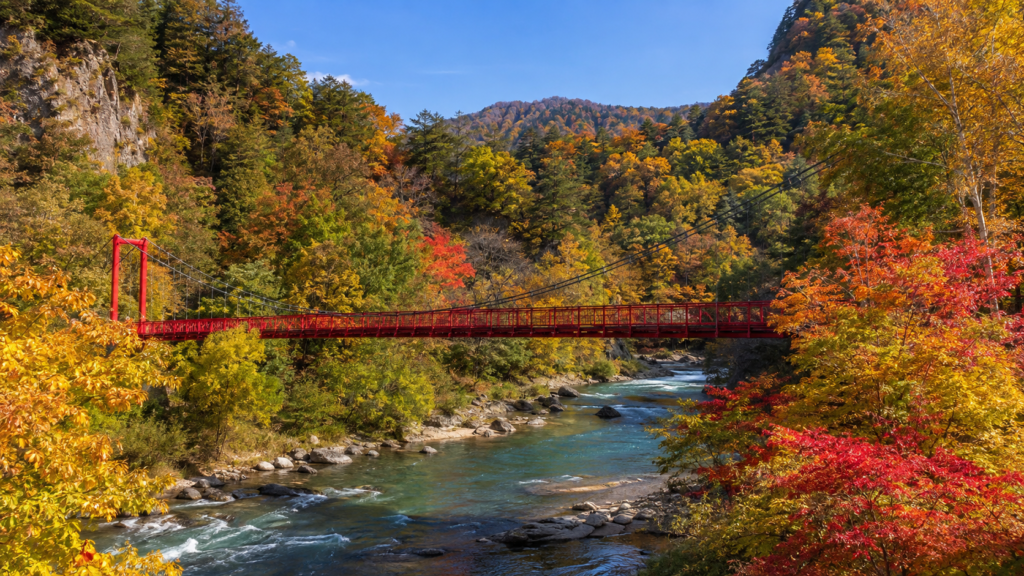 紅葉した渓谷に架かる定山渓の二見吊橋