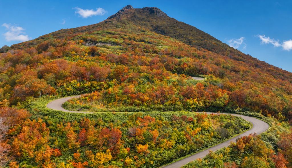 紅葉したブナ林を通る津軽岩木スカイラインのカーブ
