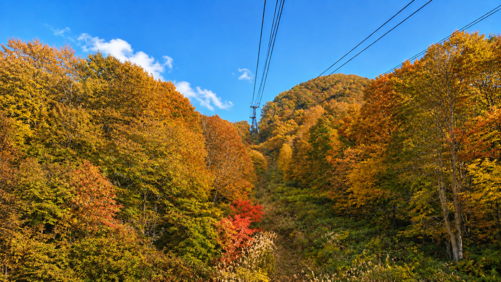 紅葉した八甲田山を進む八甲田ロープウェー