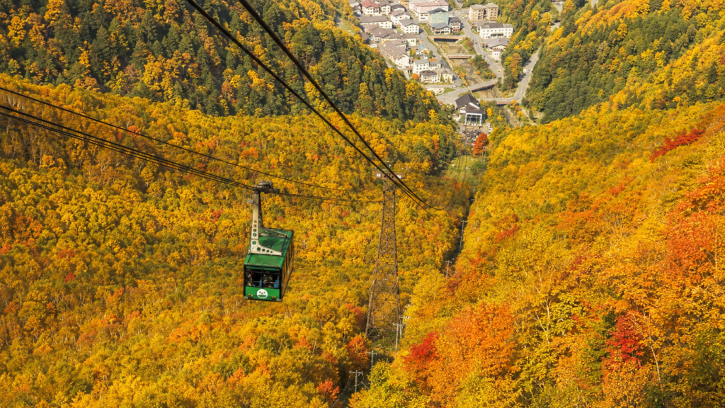 紅葉した大雪山黒岳とロープウェイ