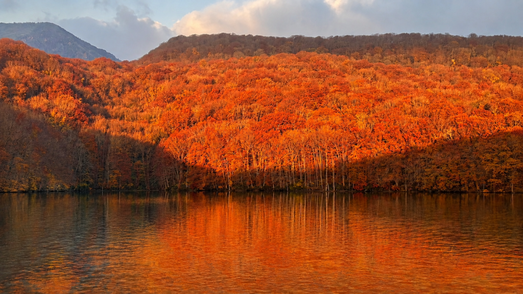 朝日に照らされた紅葉が湖面に映る蔦沼